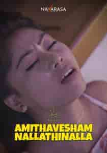 Amithavesham Nallathinalla (2023) Hindi Web Series
