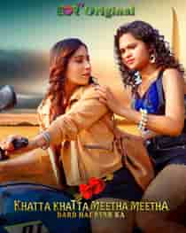 Khatta Khatta Meetha Meetha (2024) Hindi Web Series