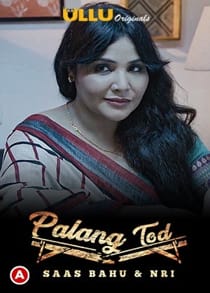 P4lang Tod S4as B4hu and NRI (2021) Complete Hindi Web Series
