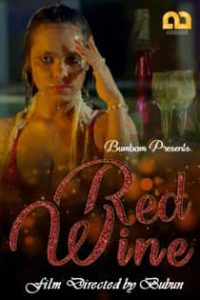 Red Wine (2020) Bumbam Hindi Web Series